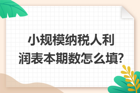 小规模纳税人利润表本期数怎么填?