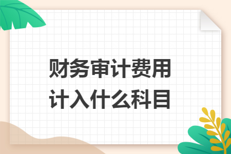 财务审计费用计入什么科目
