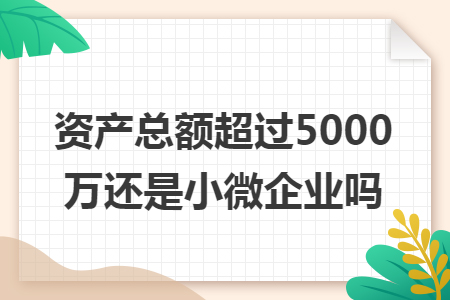 资产总额超过5000万还是小微企业吗 资产总额超过5000万还是小微企业吗