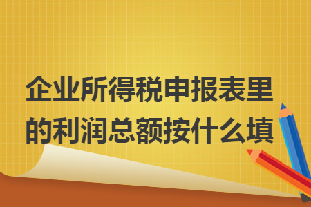 企业所得税申报表里的利润总额按什么填