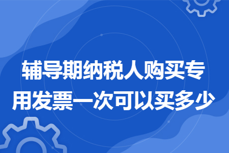 辅导期纳税人购买专用发票一次可以买多少