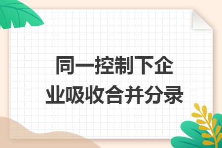 同一控制下企业吸收合并分录