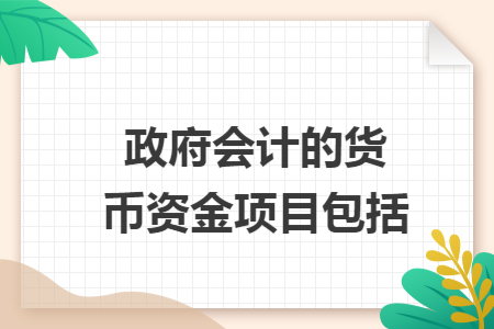 政府会计的货币资金项目包括