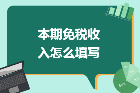 本期免税收入怎么填写