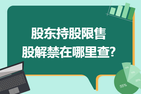 股东持股限售股解禁在哪里查?