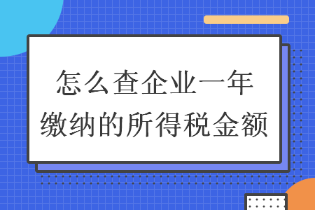 怎么查企业一年缴纳的所得税金额