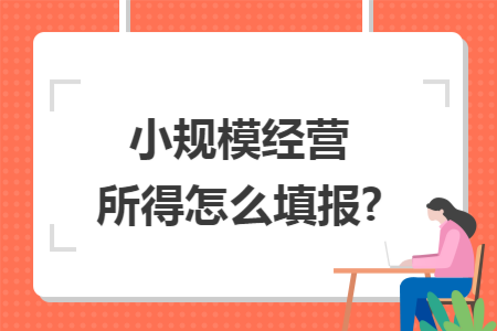 小规模经营所得怎么填报?