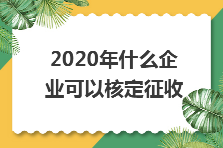 2020年什么企业可以核定征收