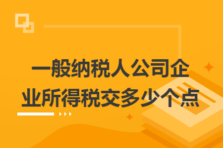 一般纳税人公司企业所得税交多少个点