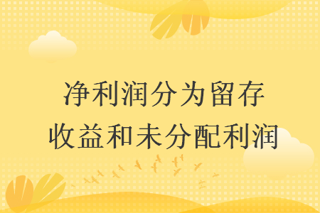 净利润分为留存收益和未分配利润