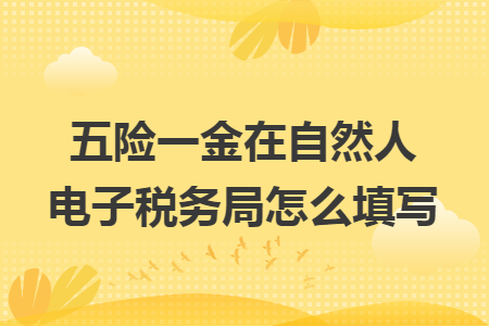 五险一金在自然人电子税务局怎么填写