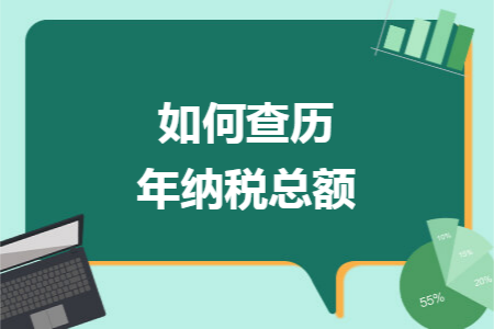 如何查历年纳税总额