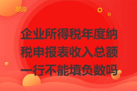 企业所得税年度纳税申报表收入总额一行不能填负数吗