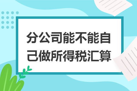 分公司能不能自己做所得税汇算