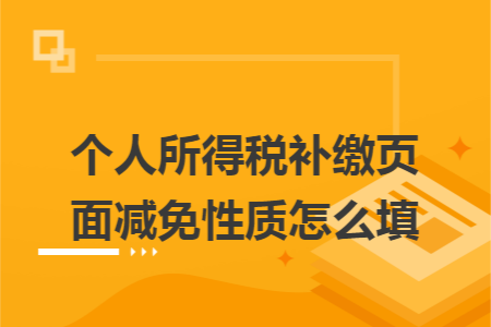 个人所得税补缴页面减免性质怎么填