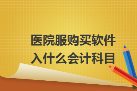 医院服购买软件入什么会计科目