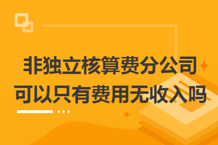 非独立核算费分公司可以只有费用无收入吗