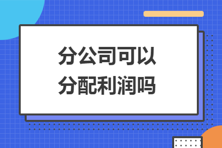 分公司可以分配利润吗