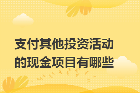 支付其他投资活动的现金项目有哪些