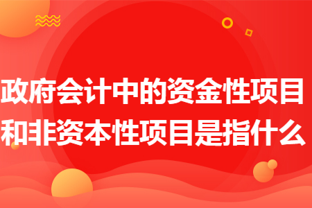 政府会计中的资金性项目和非资本性项目是指什么 政府会计中的资金性项目和非资本性项目是指什么