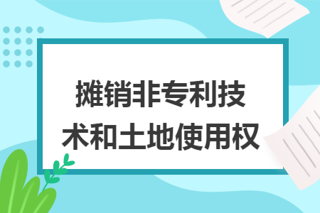 摊销非专利技术和土地使用权