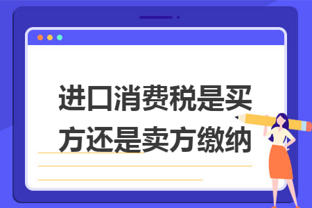 进口消费税是买方还是卖方缴纳