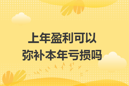 上年盈利可以弥补本年亏损吗