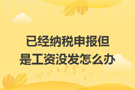 已经纳税申报但是工资没发怎么办