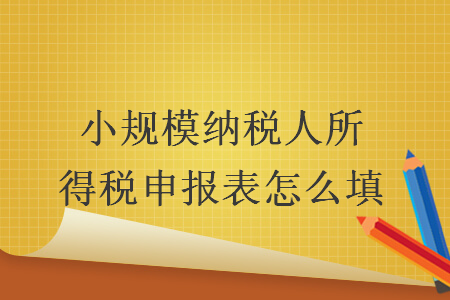 小规模纳税人所得税申报表怎么填