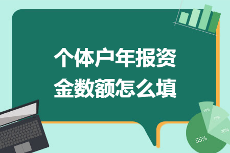 个体户年报资金数额怎么填
