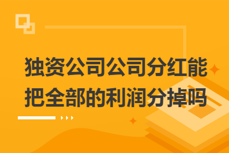 独资公司公司分红能把全部的利润分掉吗