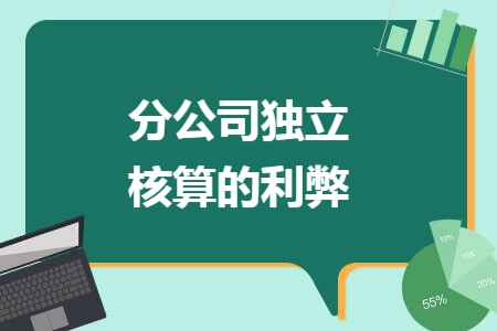 分公司独立核算的利弊