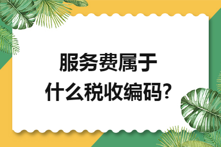 服务费属于什么税收编码?