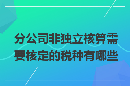 分公司非独立核算需要核定的税种有哪些