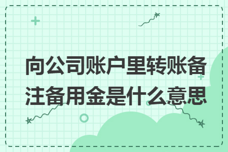 向公司账户里转账备注备用金是什么意思