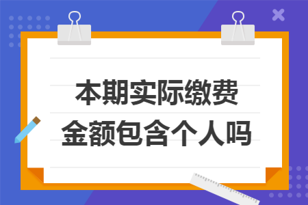 本期实际缴费金额包含个人吗