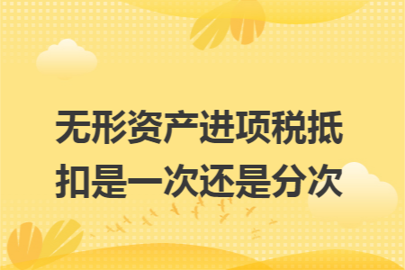 无形资产进项税抵扣是一次还是分次