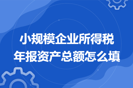 小规模企业所得税年报资产总额怎么填