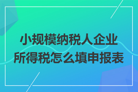 小规模纳税人企业所得税怎么填申报表