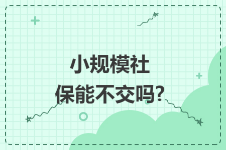 小规模社保能不交吗?