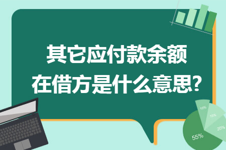 其它应付款余额在借方是什么意思?