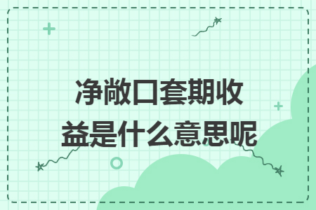 净敞口套期收益是什么意思呢