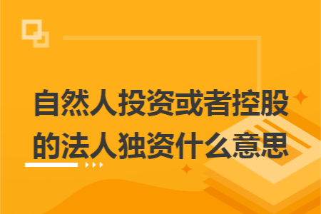 自然人投资或者控股的法人独资什么意思