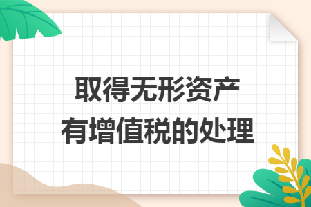 取得无形资产有增值税的处理