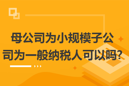 母公司为小规模子公司为一般纳税人可以吗?
