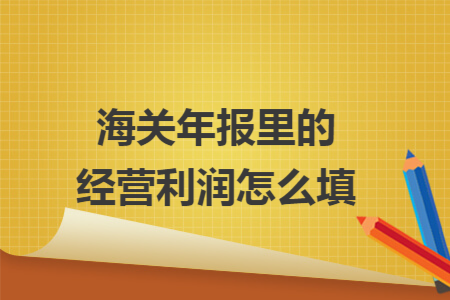海关年报里的经营利润怎么填