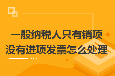 一般纳税人只有销项没有进项发票怎么处理