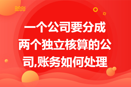 一个公司要分成两个独立核算的公司,账务如何处理 一个公司要分成两个独立核算的公司,账务如何处理