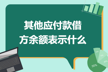 其他应付款借方余额表示什么