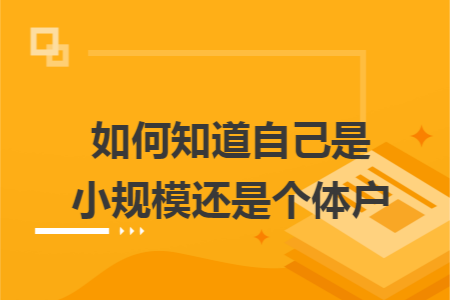 如何知道自己是小规模还是个体户